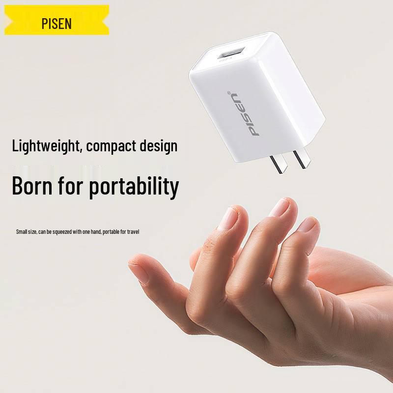 PISEN 10W USB Charger for Apple Earbuds & Power Banks, 5V/1A/2A Output