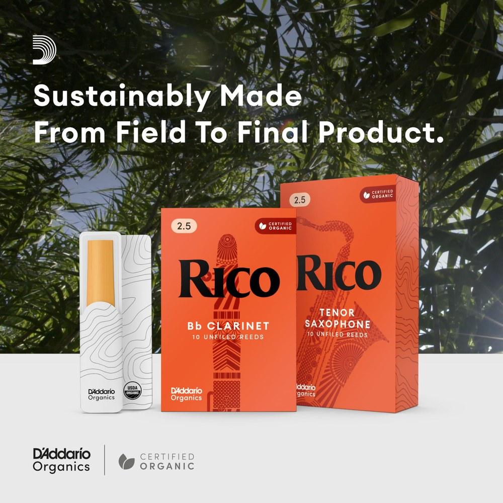 Rico D'Addario WoodWinds Reed for Baritone Saxophone RLA2525 25 Sheets