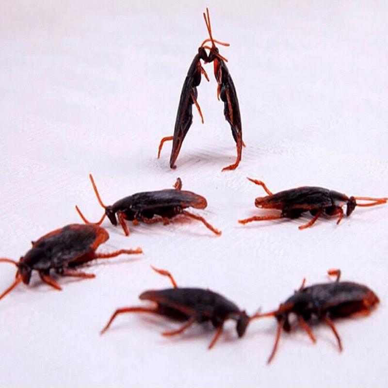 20Pcs Special Lifelike Model Simulation Fake Rubber Cockroach Bug Roaches Toy Novelty Trick Toys