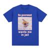 The Government Wants Me In Jail Funnt Cat Meme T Shirts Men's Women Fashion Harajuku T-shirt Cotton Casual Short Sleeve T-shirts