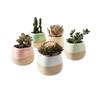 Breathable Large Round Ceramic Planter Pot