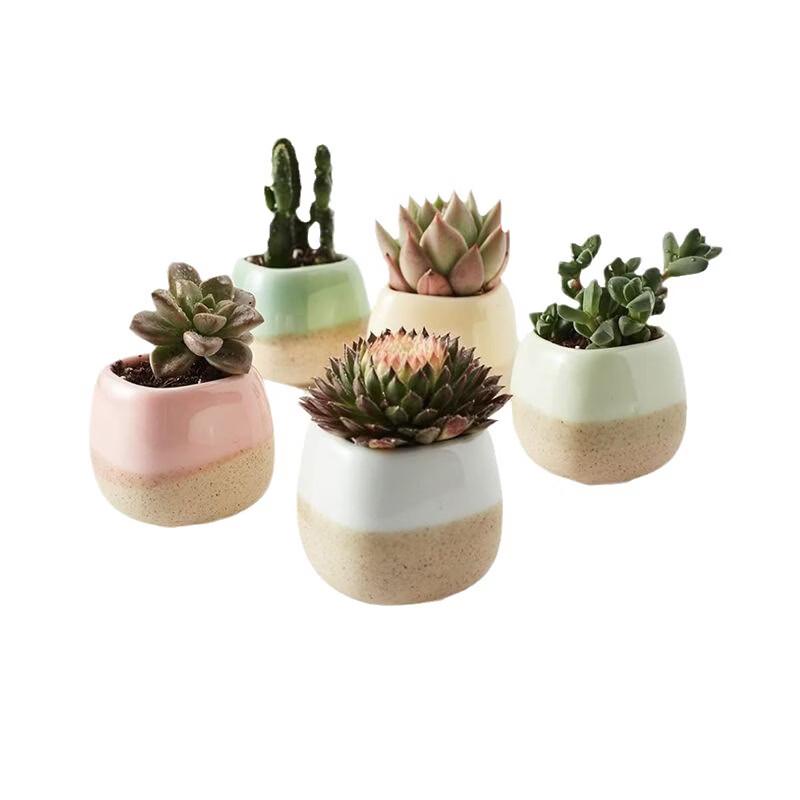 Breathable Large Round Ceramic Planter Pot
