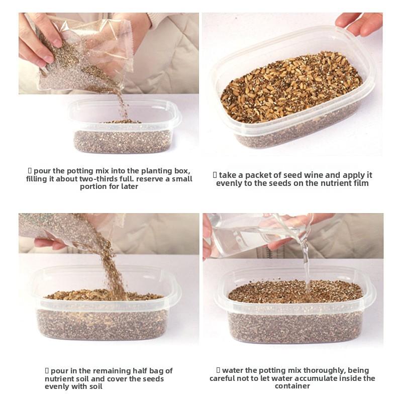 Cat Grass Barley Helps Remove Hairballs. Cat Grass Soil Nutrition Soil Cat Grass Set Cat Zero