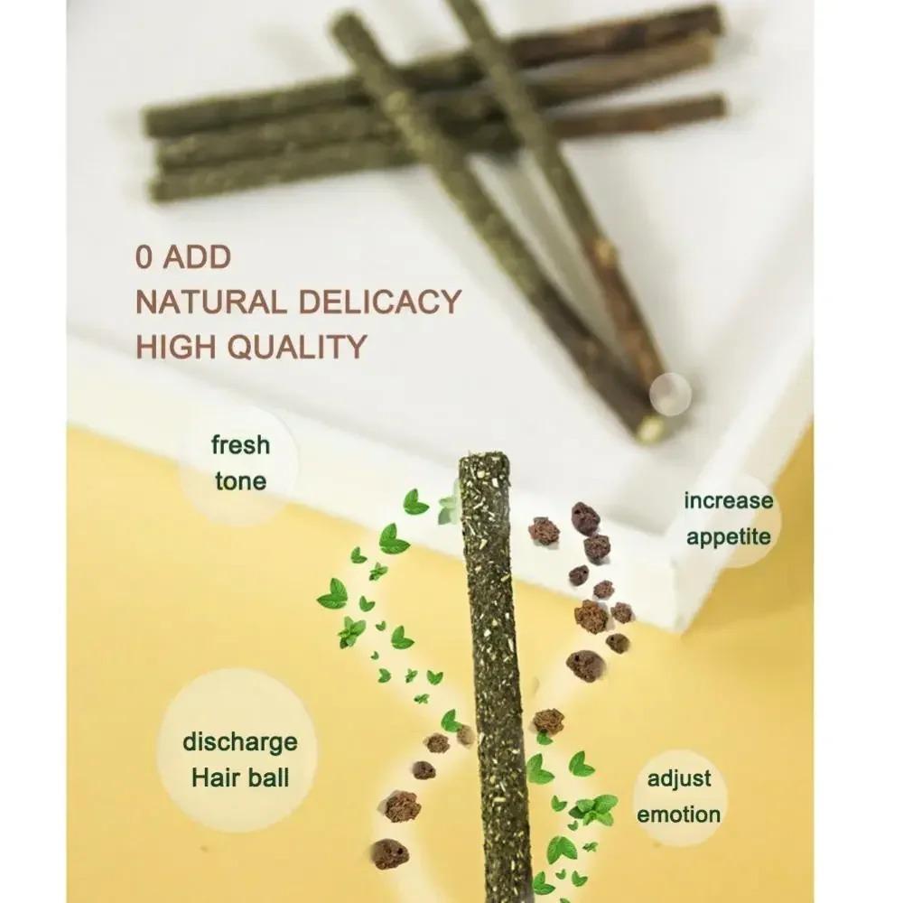 Natürlicher Matatabi Katzenstick Minze Gefangen Gebissen Aufregende Stöcke Silberrebe Für Katzen Zahnpflege Behandeln Haustierbedarf