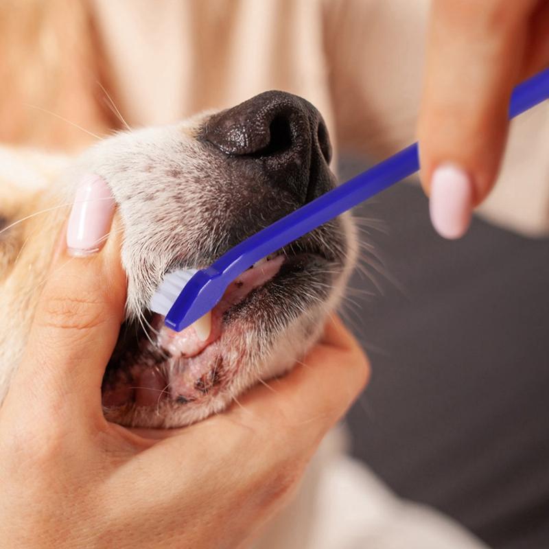 Pet Toothbrush Toothpaste Finger Set Dog Healthy Edible Toothpaste Small Dog Cats Mouth And Teeth Cleaning And Care Supplies