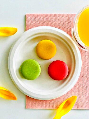 Disposable Plate Made Of Sugarcane Free Of Charge Sup - Grill