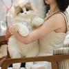 Plush Cat Backpack - Bionic Kitten Doll Toy Gift for Girls' Birthdays