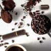 1Pcs Espresso Mixers Coffee Tamper Dispensers Levelers WDT Tool  Cafe Stirrers Barista Accessories