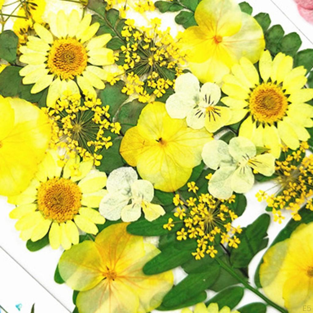 Mixed Dried Pressed Flowers for Wedding Invitations, Envelopes, Bookmarks, Table Decorations,