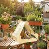 Hatching Nest Parrot Sleeping Swing Hanging Bird Swing Perch Parrot House  Small Medium Birds