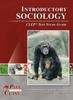 Książka Introduction To Sociology CLEP Test Study Guide