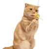 Pets Route Cat Toy, Paper String Jumping, Medium