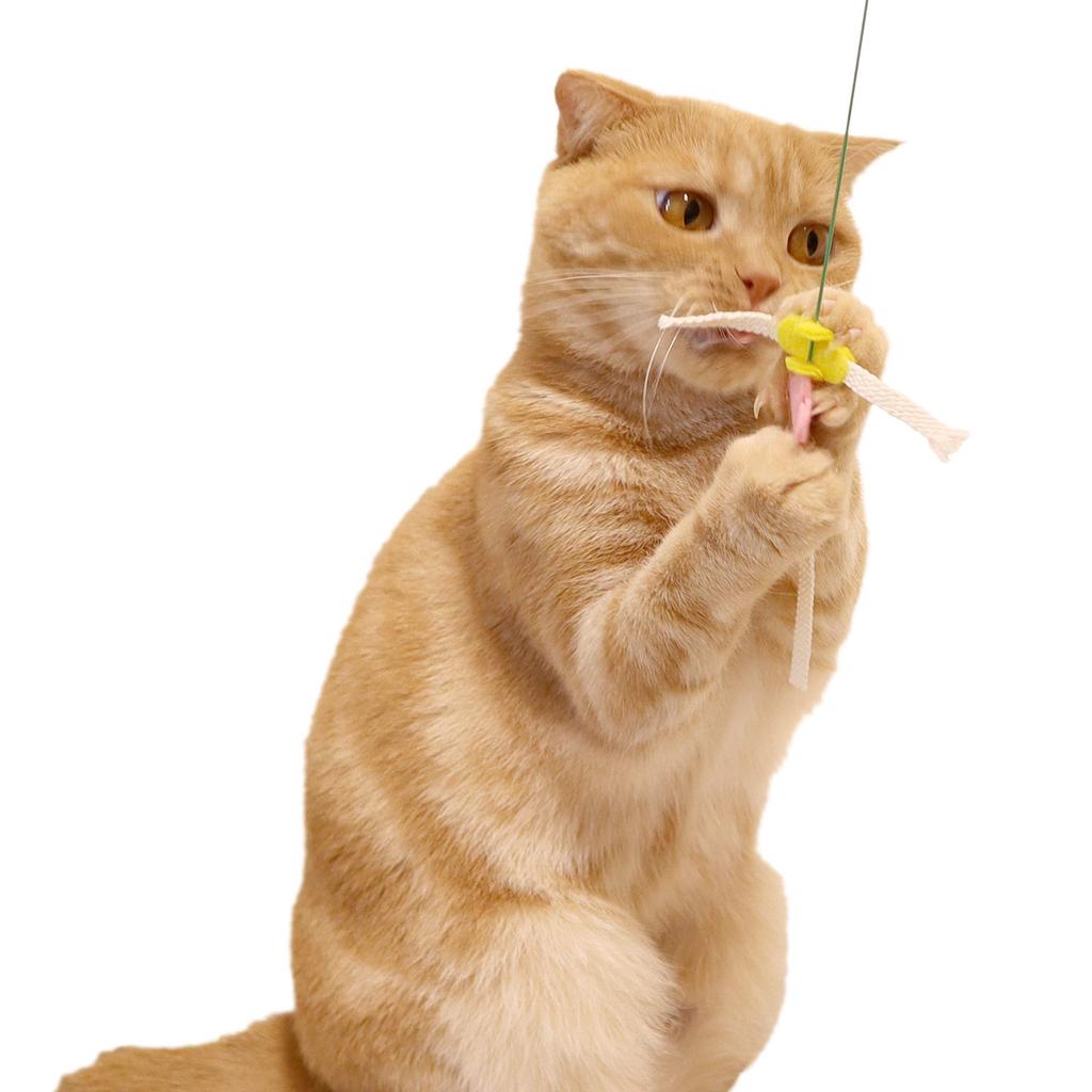 Pets Route Cat Toy, Paper String Jumping, Medium