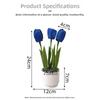 3/5 Heads Artificial Tulip Flower Bonsai Multicolor White Flowerpot Simulation Flower Bonsai Photo Props Faux Flower Potted Gift
