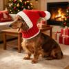 Soft Christmas Dog Knitted Hat Ear Flaps Cat Decorative Hat Cat Snood Hat  Winter Season