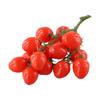 Artificial Fake Red Vine Tomato 19cm Fruit Vegetable