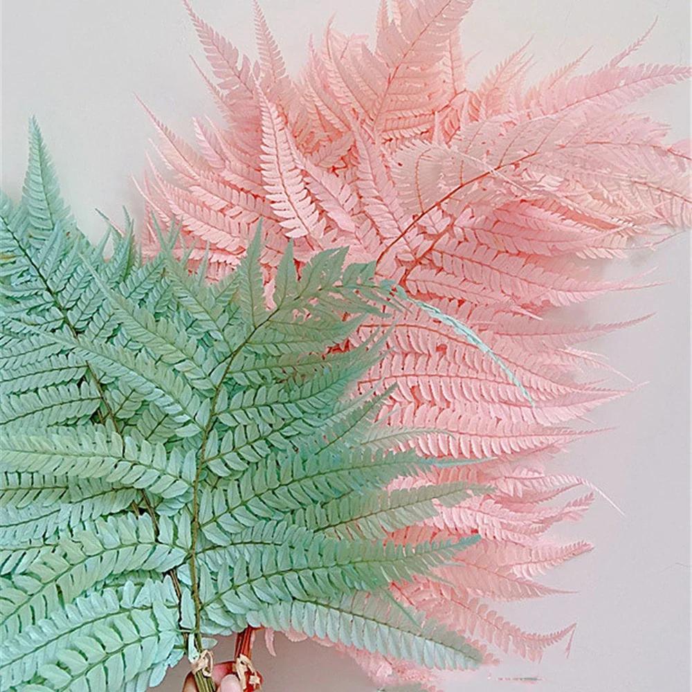 Preserved Fern Leaf for Home Decoration,Eternal Life,Natural Real Fern Plant,Handmade Flowers Material,Wedding,Home, 5Pcs,10Pcs