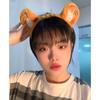 Plush Make Up Wash Face Women Hair Band Korean Style Head Hoop Hair Accessories Tiger Ear Headband