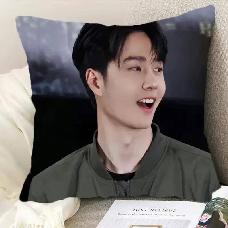 Wang Yibo Yebo Poster Double-sided Printed Pillowcase China Movie Born To Fly Lei Yu Drama Stills Home Car Decor Cushion Cover