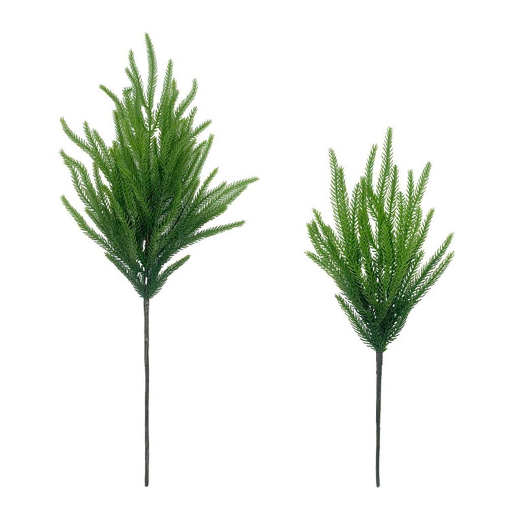 

Оживленные норфолкские сосны, добавляющие нотку природы в городские жилые пространства A10222