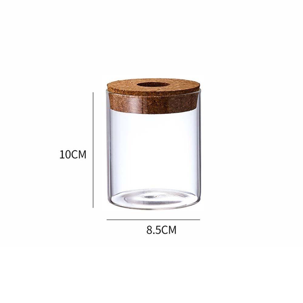 Transparent Hydroponic Plants Flower Pot Thickened Round Transparent Glass Pots Mini Glass Ecological Glass Vase Living Room