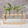 Glass and Wood Vase Planter Terrarium Table Desktop Hydroponics Tray Home Decor Plant Bonsai Flower Pot Hanging Pots with Wooden