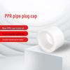 WEGUS PPR Pipe Cap
