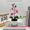 Simulated Sand Phalaenopsis Bonsai Green Plants For Home Wedding Decoration