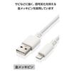 ELECOM Lightning Cable Lightning iPhone Charging Cable 2m High Durability [Compatible with iPhone SE3 / SE2 / 14 / 13 / 12, Etc.] Apple Certified Prod