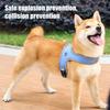 Colete Arnês para Cão Anti-Puxão Respirável com Trela Refletora Ajustável Colete de Malha Arnês Fácil de Colocar/Retirar para Cães Pequenos Médios Conforto para Todas as Estações