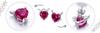 Earrings S925 Hearts Devils Crystals Zircons