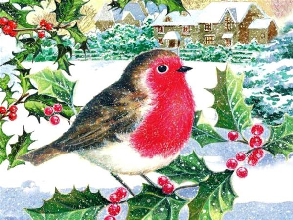 Diamond Art Painting Bird Snow Home Decor Square/round Embroidery Mosaic Animal Winter 5d Diy Wall Sticker
