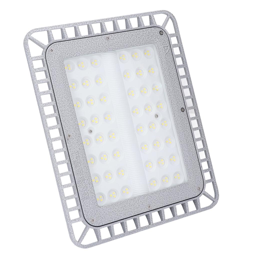 LED Explosion Proof Light 5000K 100W 12000lm for Work Factory Tunnel Workshop Lighting Tempered