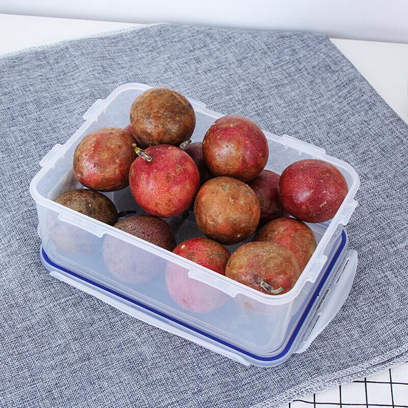 Lock & Lock Rectangular Food Storage Container
