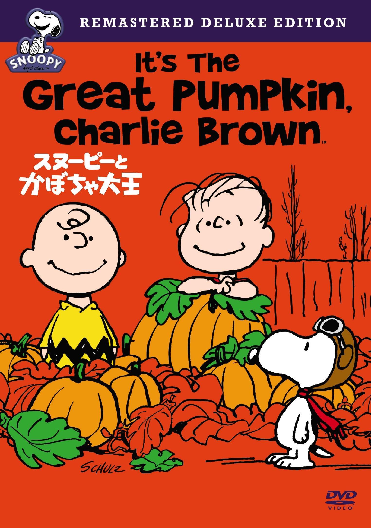 

Snoopy and the Pumpkin King Special Edition [DVD]