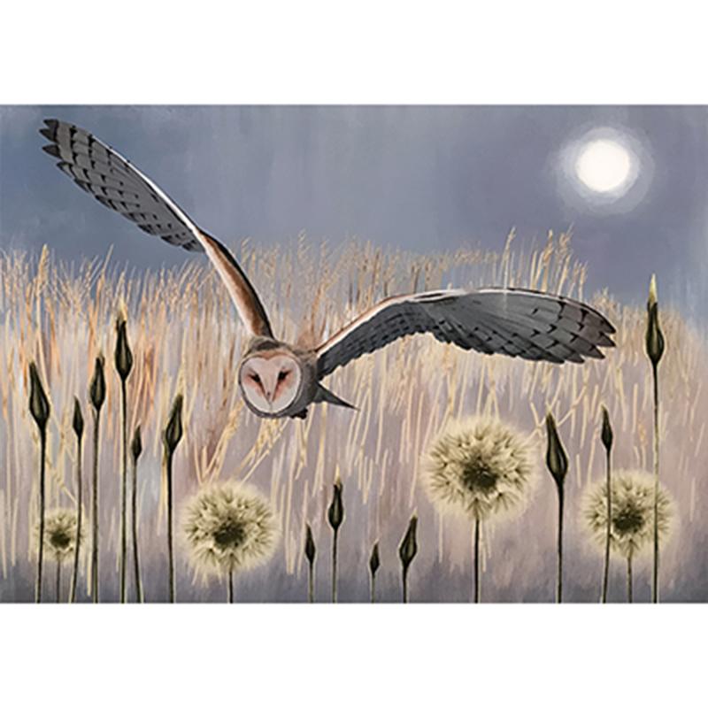 

Картина на холсте с изображением совы-амбара, настенная печать, абстракция, животное, луна, ночной пейзаж, постер, картина дикой природы для декора комнаты, дома, Cuadros 21x30cm No Framed