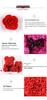 Preserved Rose Foam Bear 25cm - Valentine's Day Flower Gift Box Bouquet