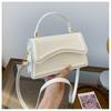 Pu Small Square Bag With Top Flap For Daily Casual Womens Street Style