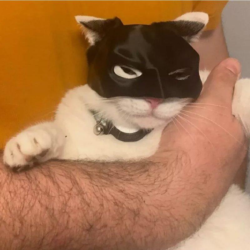 Black Catwoman Cat Mask Halloween Pet Headdress Decoration Plastic Material