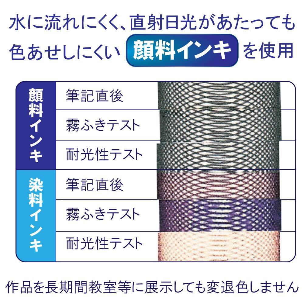 Sakura Writing Felt 2 Pens and 10 Cray-Pas Pens, (Fine Medium), Black, Pens, FK2SM-P(10)
