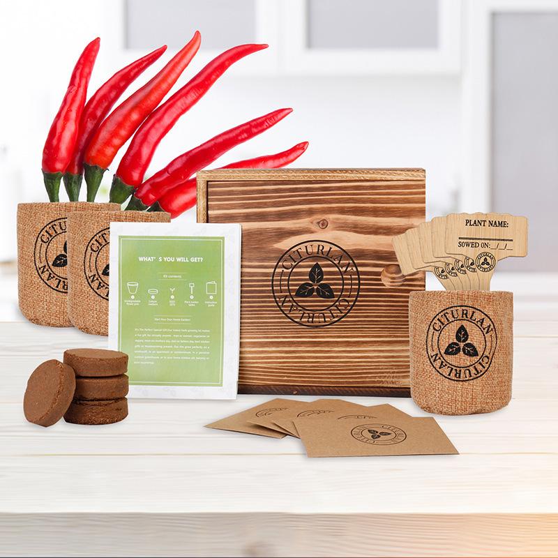 

Биоразлагаемый подарочный набор для посадки, Экологичный набор для цветочного сада с семенами и инструментами, Домашний декор в горшке на подарок ко дню рождения