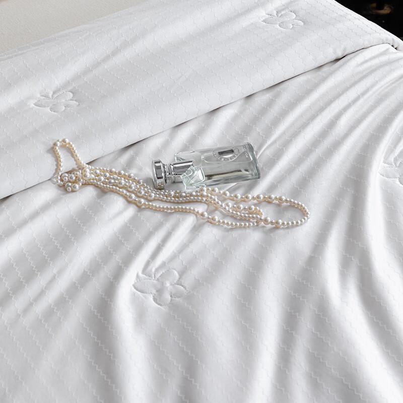 Hengyuanxiang TSB1052 Washable Double-Sided Cool Organic Silk Quilt