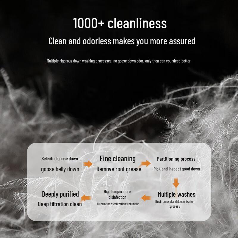 Yuanshenghuo 95% White Goose Down Quilt