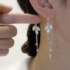 Female Niche Long Style Fashionable Temperament Leaf Tassel Earrings