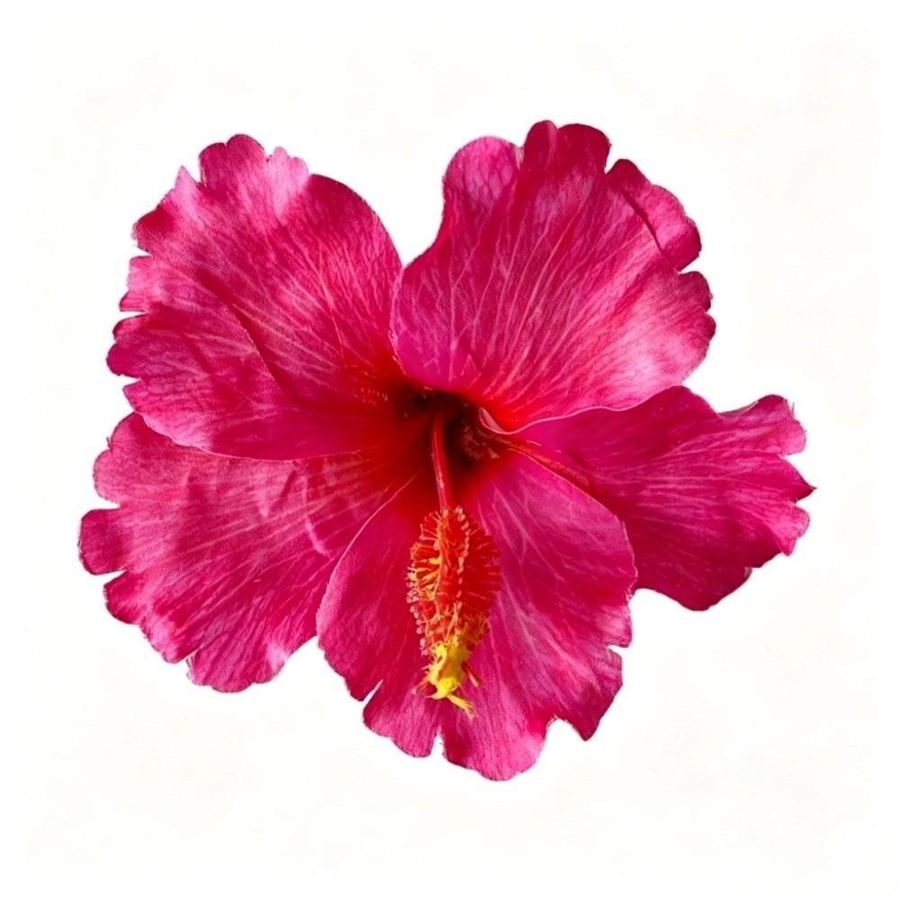 Floare Artificială Floare de Hibiscus Agrafă de Păr Nu Rănește Părul Stil Bohemia Accesorii de Păr Fotografie Plajă Călătorie Agrafă Laterală pentru Nuntă