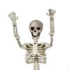 Halloween Skeletons Human Bones Prop Decor Full Body Joints for Lawn Decorations
