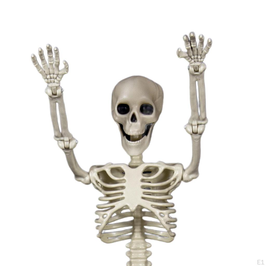 Halloween Skeletons Human Bones Prop Decor Full Body Joints for Lawn Decorations