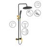 Shower Column with Faucet Alanis Black Gold