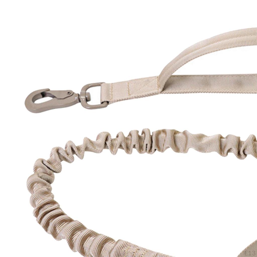 Bungee Dog Leash 2 Padded Handles Training Traction Rope Portable Metal Buckle Pet Leads