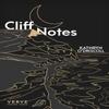 Cliff Notes by Kathryn ODriscoll Paperback Book 9781913917029